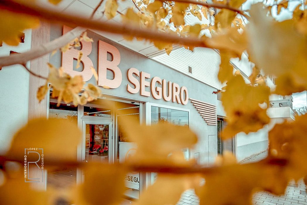 DISEÑO DE LOCALES COMERCIALES
