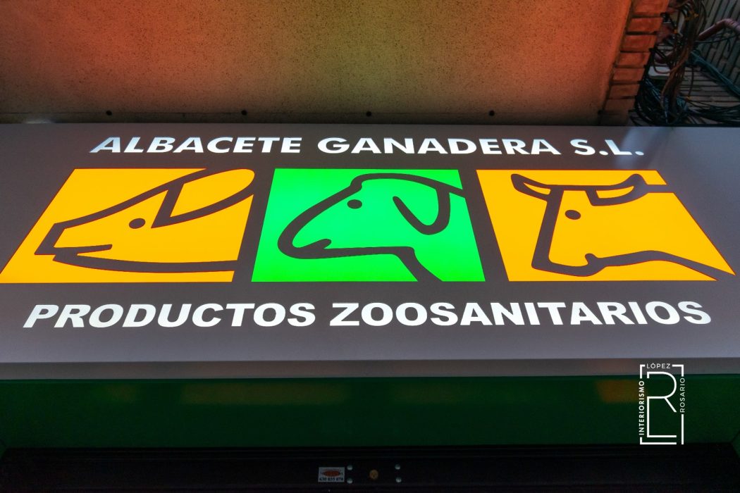 INTERIORISTAS EN ALBACETE